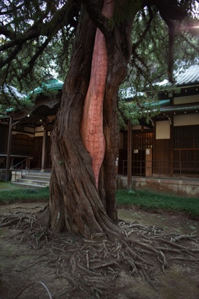 Kamakura